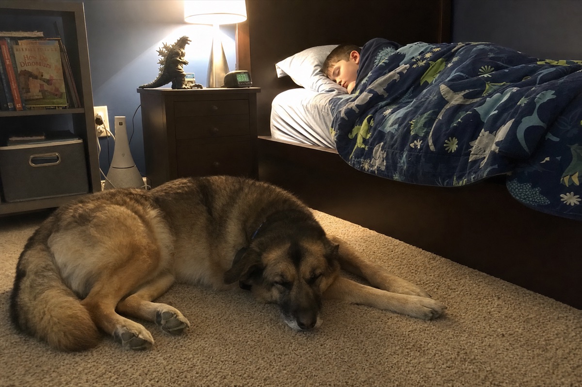 Bella asleep on the floor of the kids' room