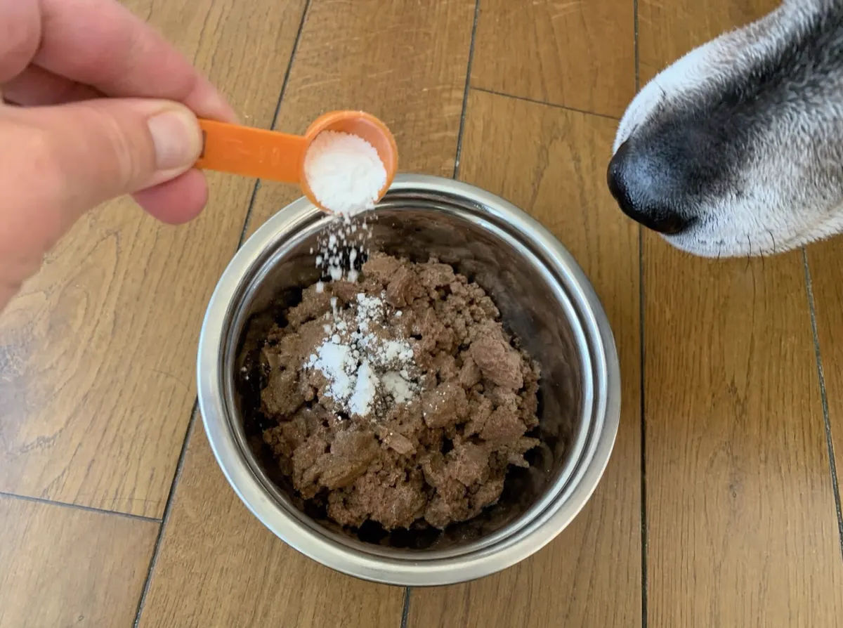 One scoop of Vitality+ powder going onto a dog's breakfast